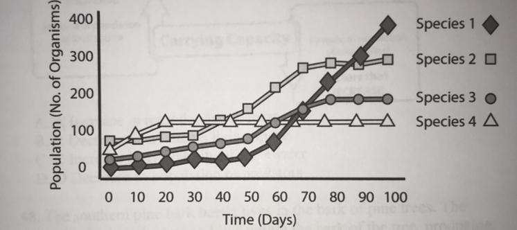 The Graph Provided Shows The Change In Size Of Four Populations Introduced Into A New Habitat. Which