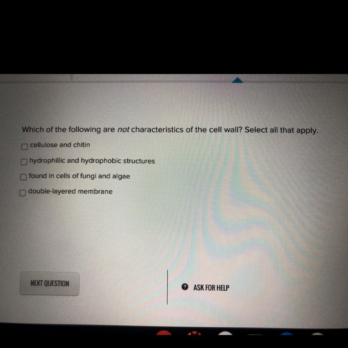 Which Of The Following Are Not Characteristics Of The Cell Wall 