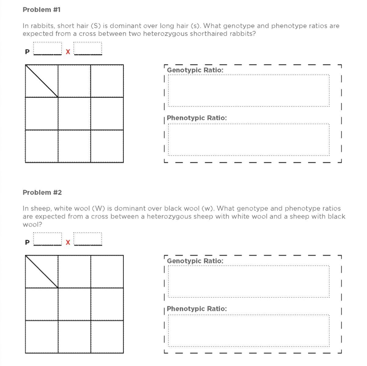 solving monohybrid problems. please fill out the two worksheets!!! :)