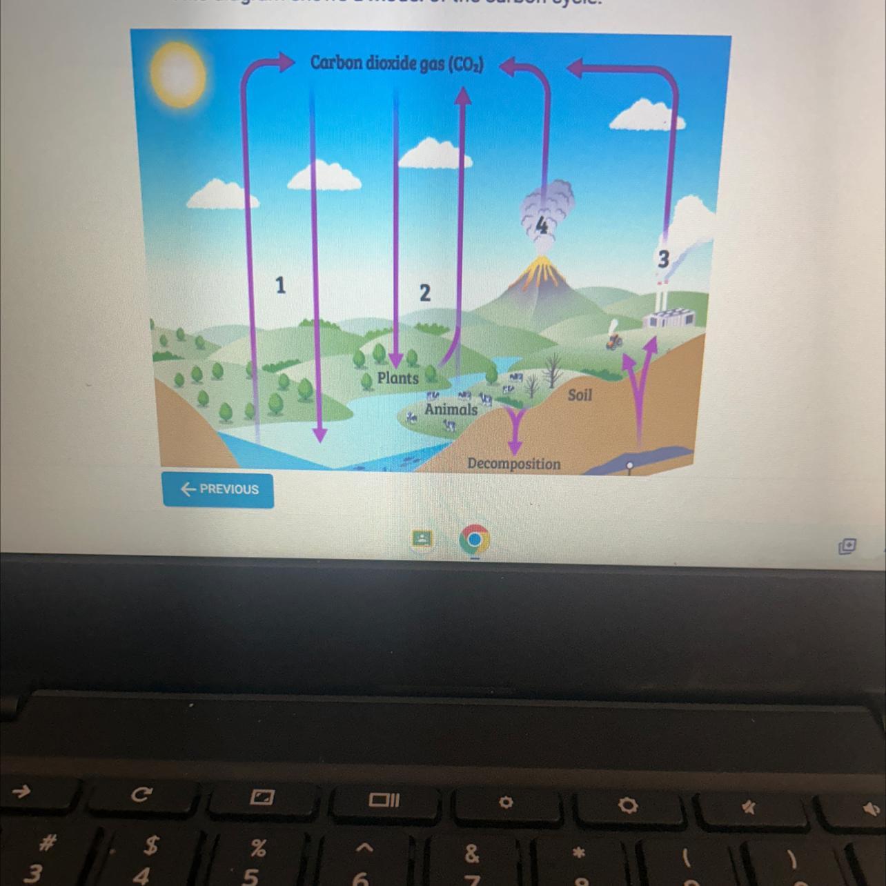 Which numbered point in the diagram represents the exchange of carbon between the hydrosphere and atmosphere?A.