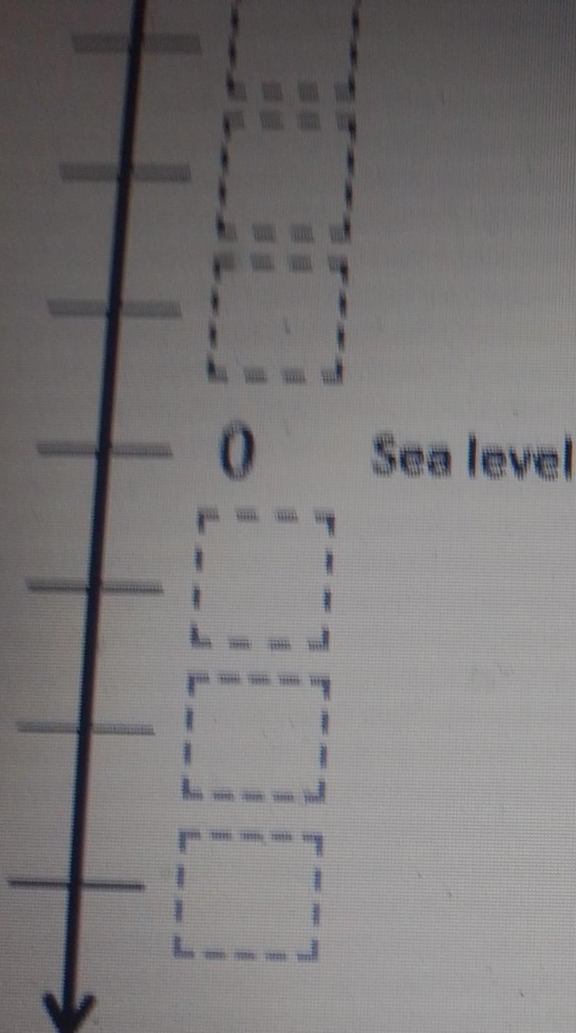 A turtle is swimming 3 feet below sea level. A seagull is flying 9 feet above sea level. What is the
