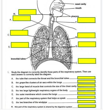 HELP WHOEVER ANSWERS WILL BE MARKED BRAINLIEST!!!