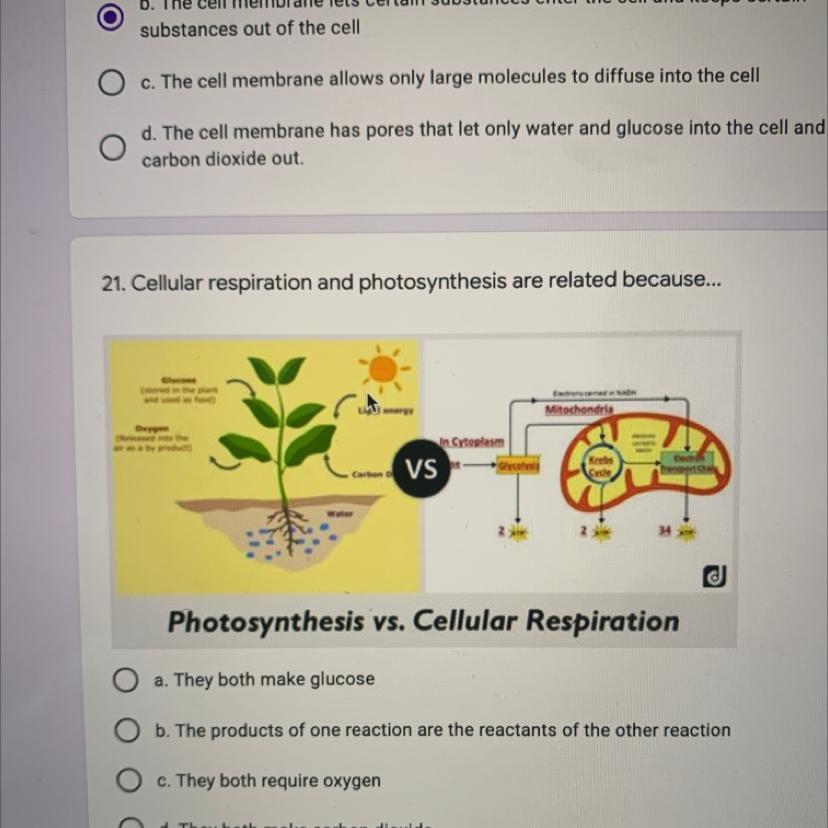 Someone Help And Answer. Cellular Respiration And Photosynthesis Are Related BecauseA) They Both Make