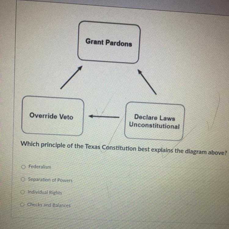 Which principle of the Texas Constitution best explains the diagram above?