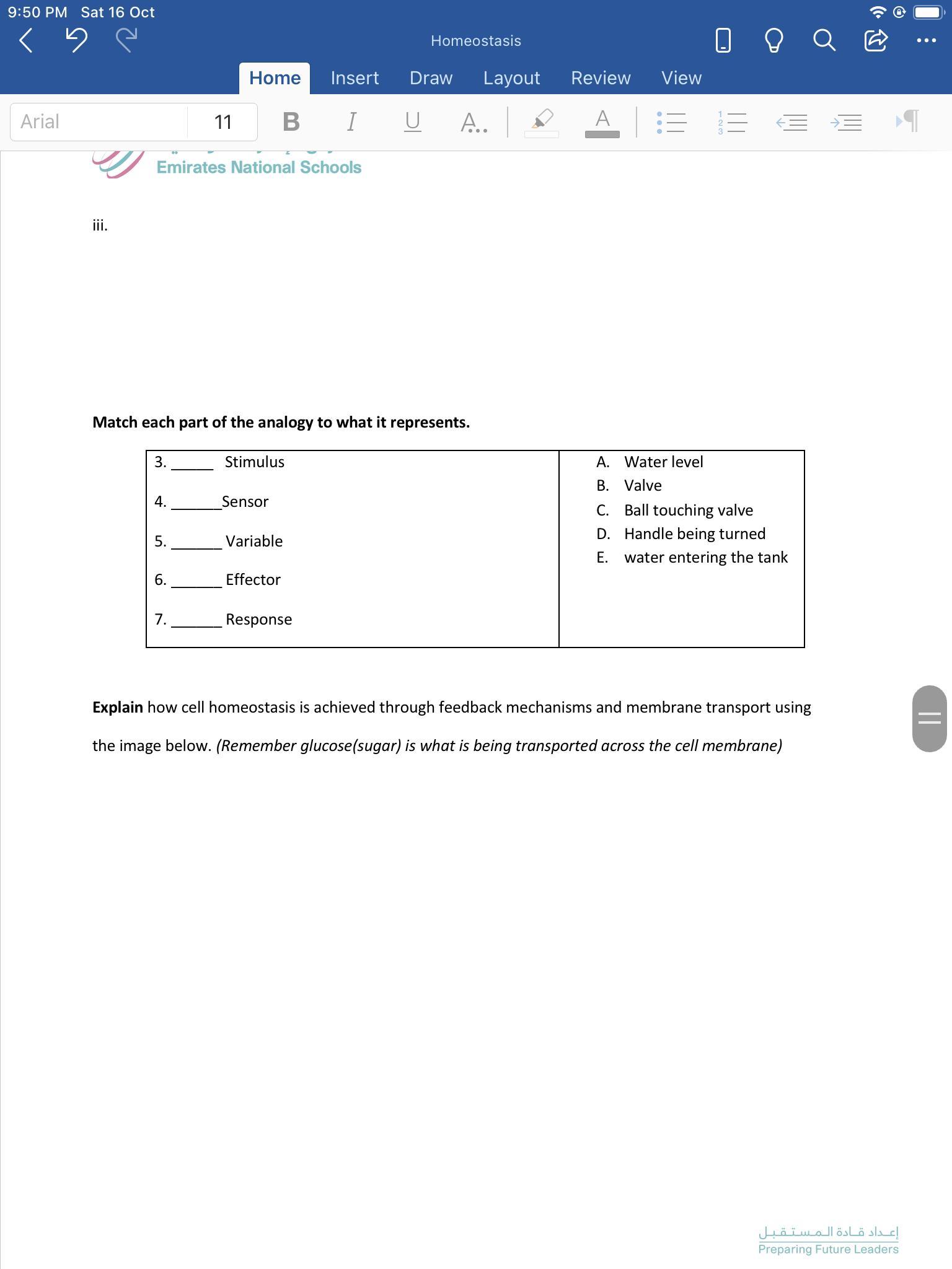 Can someone help me :,) youll get brainliest!