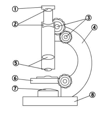 Use the word bank to label the different parts of a microscope.1. 2. 3. 4. 5. 6. 7. 8.