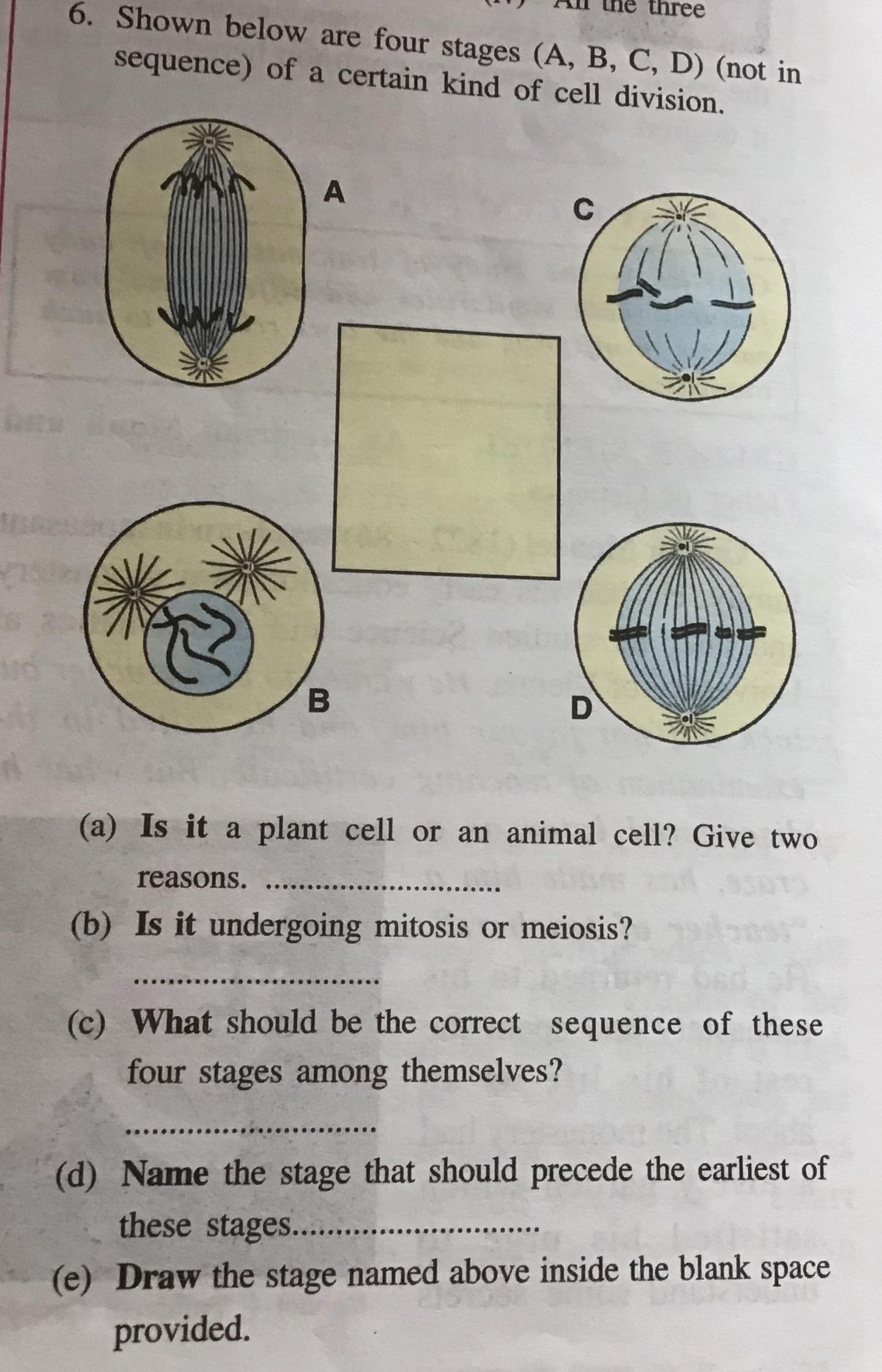 Shown Below Are 4 Stages (A,B,C,D) (not In Sequence) Of A Certain Kind Of Cell Division.
