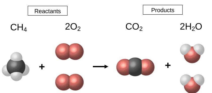 PLEASE HELP ME!!! Explain how this chemical equation demonstrates the Law of Conservation of Matter [Mass].