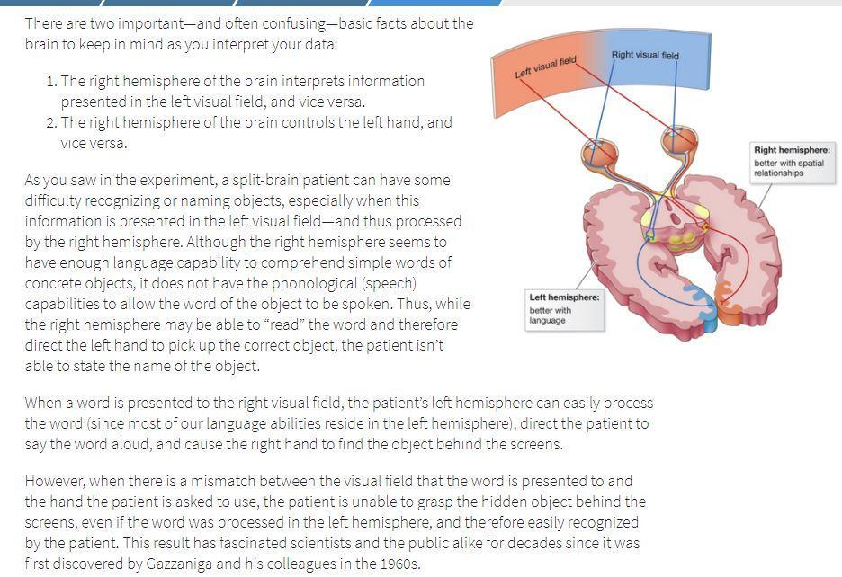 Based on the ideas presented in this lab, what other differences would you expect to see in the thinking