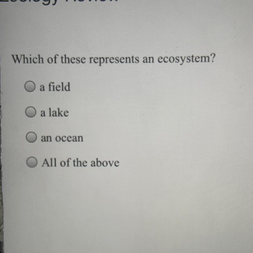 Please help me with this but also take your time 