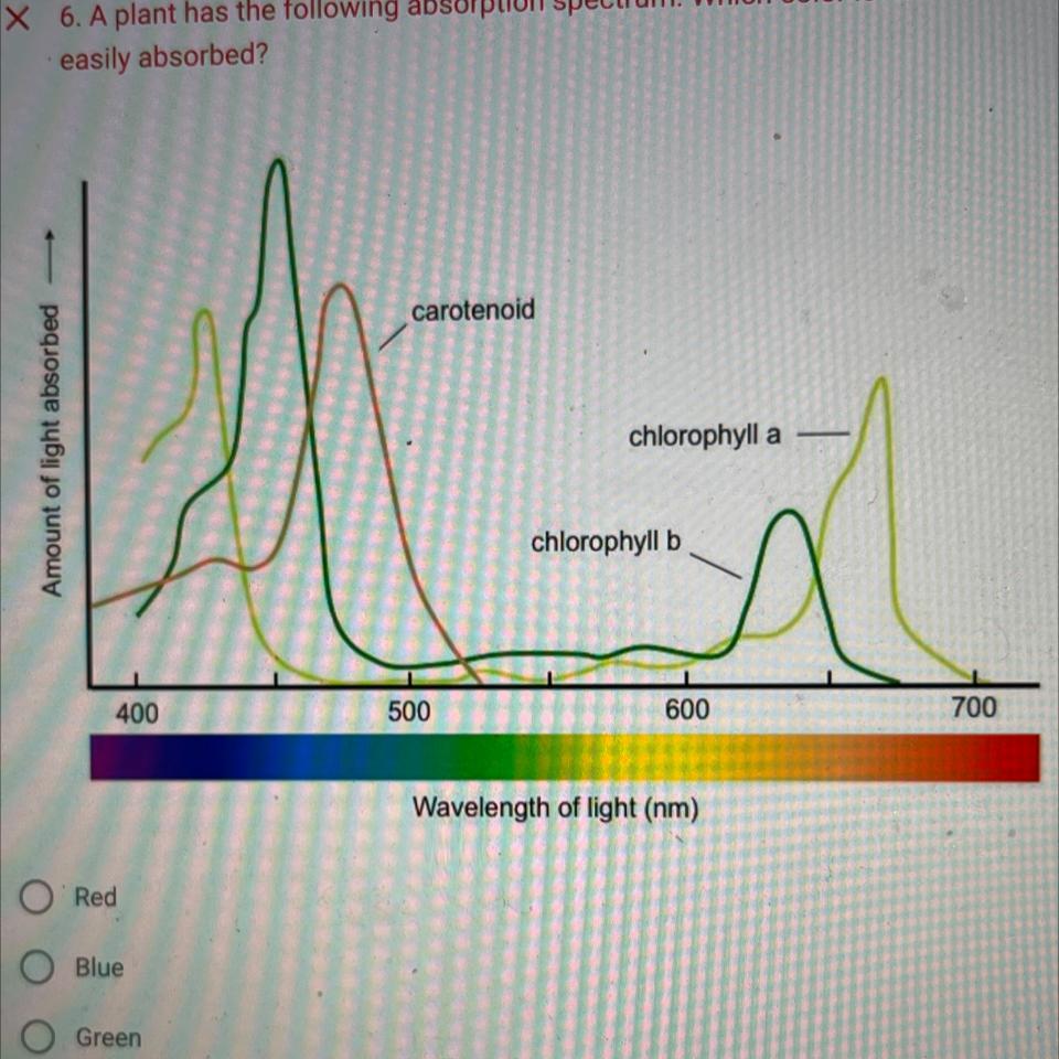 A plant has the following absorption spectrum. Which color is noteasily absorbed?RedBlueGreenOrange 