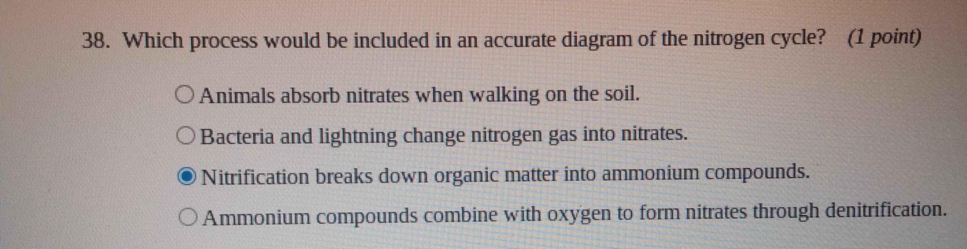 HELP ASAP PLEASEwhich process would be included in an accurate diagram of the nitrogen cycle?