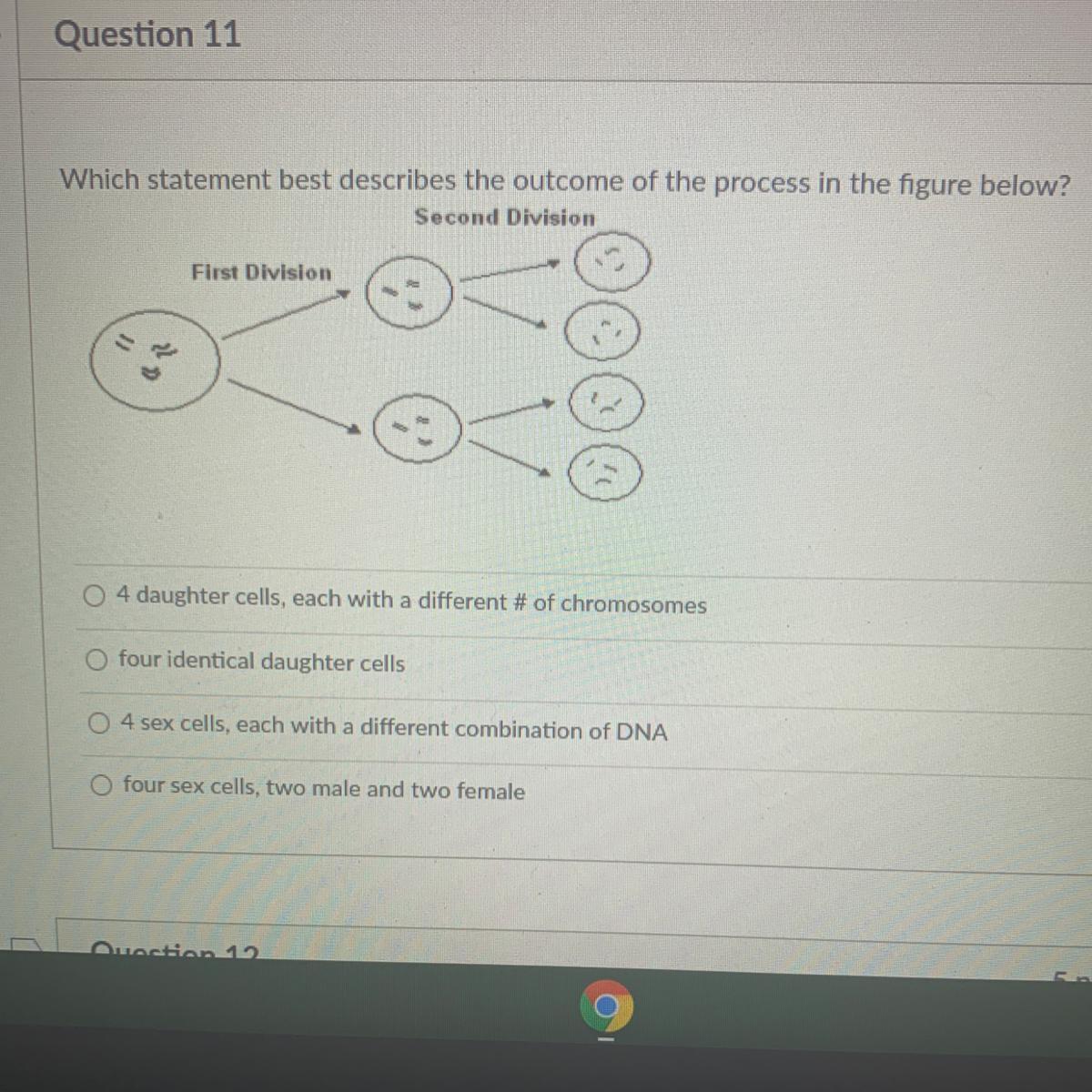 Which Statement Best Describes The Outcome Of The Process In The Figure Below?- 4 Daughter Cells, Each