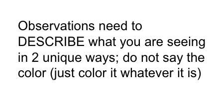 Hi can someone please help me with this. So I have to make observations of these cells but Im not sure