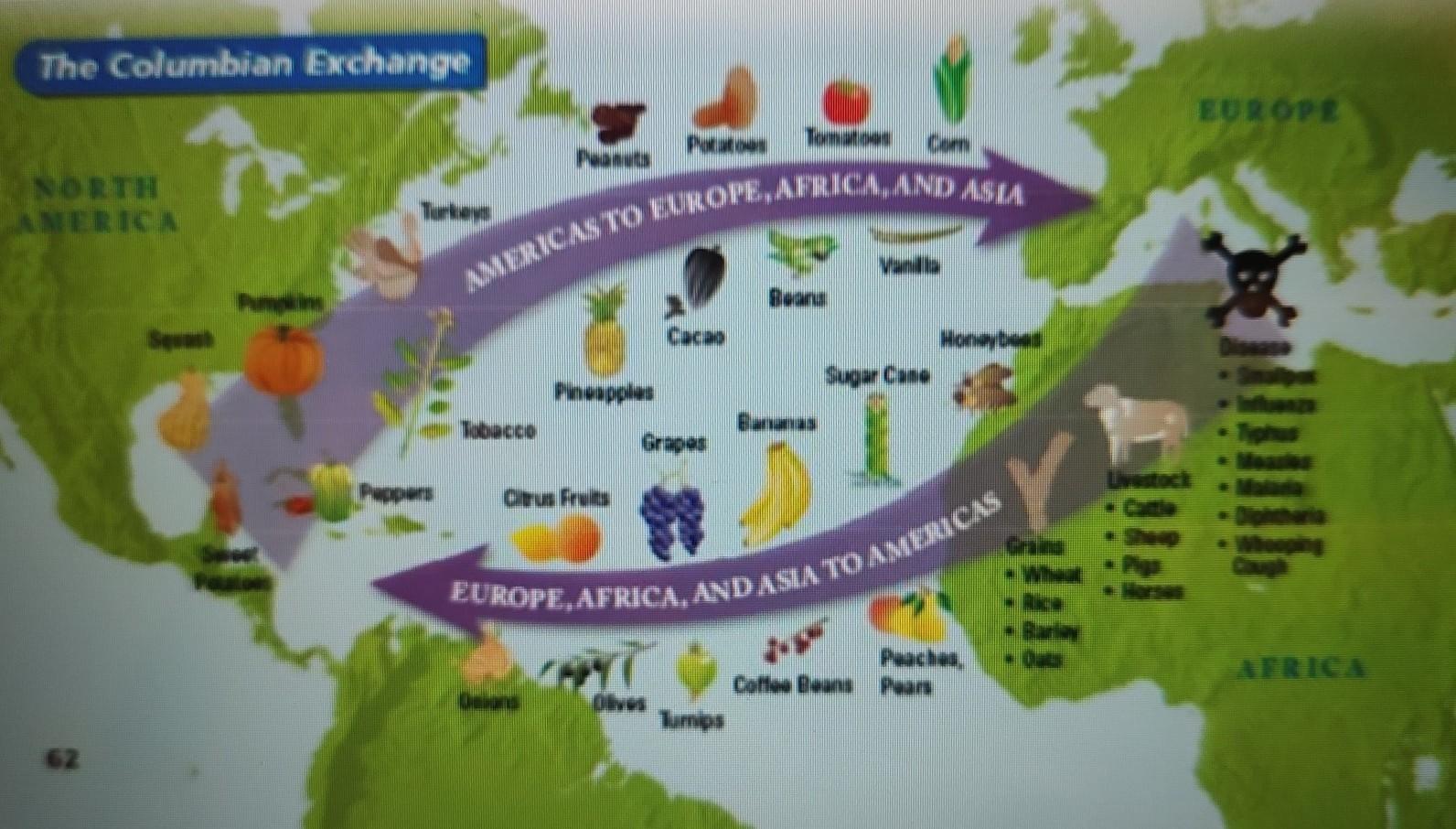 34. Which Of The Following Is NOT A Result Of The Columbian Exchange? A. Cultural DiffusionB. Death By