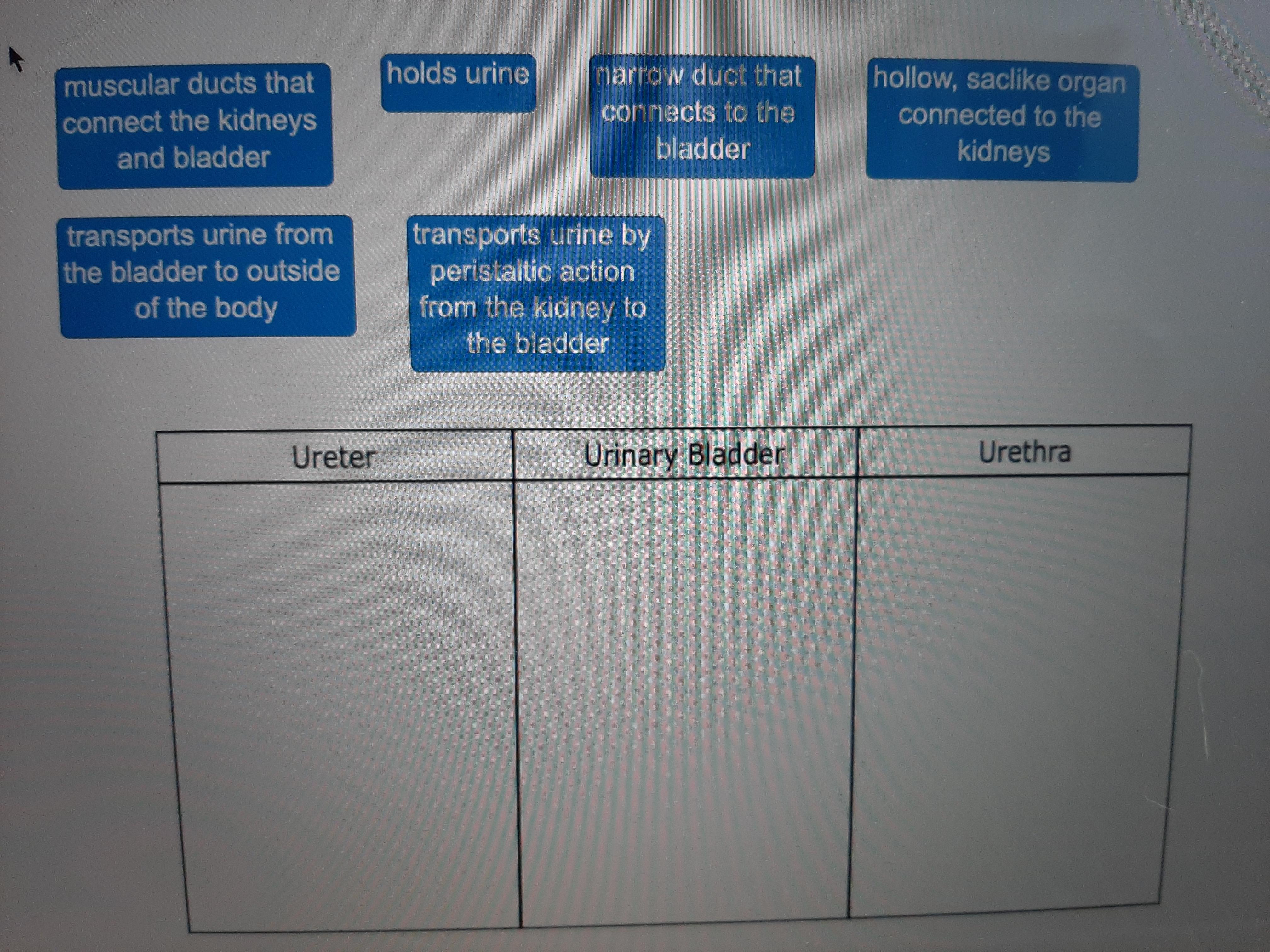 PLEASE QUICK!!! 15 POINTS Drag Each Tile To The Correct Location On The Table. Along With The Kidneys,