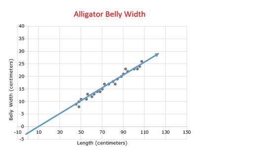 The scatterplot models the relationship between the length of a Louisiana alligator and the width of