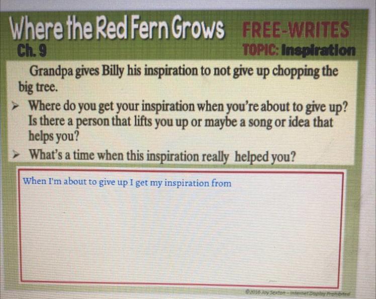 Help It's Due In 1 Hour!!!!