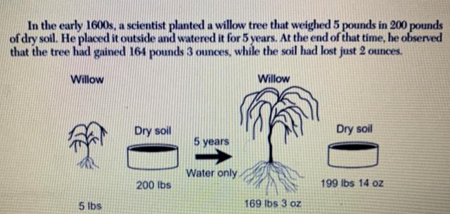 From this, he concluded that plants gain weight from the water they take in. His conclusions was based