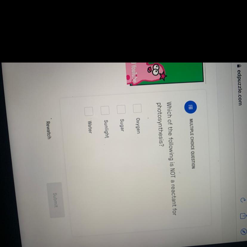 The Answer To The Question