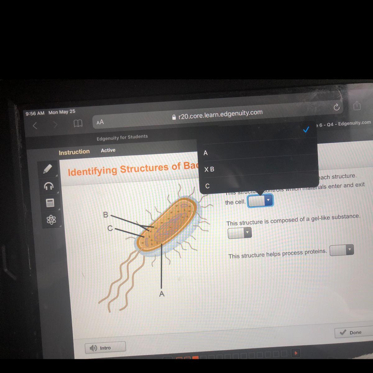 The Structure Controls Which Materiel Enter And Exit The Cell