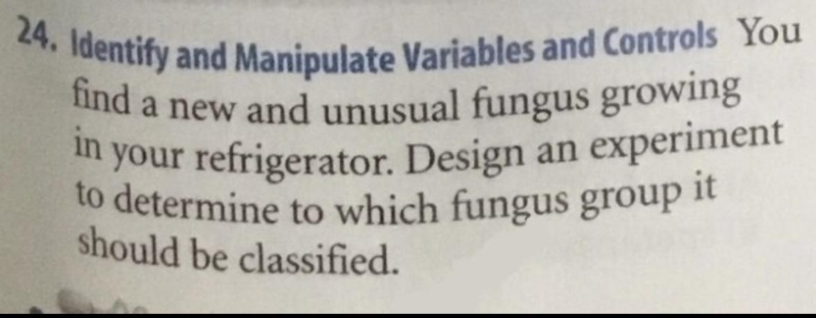 You Do Not Actually Have To Do An Experiment, Just Write An Example. Please Help!!!