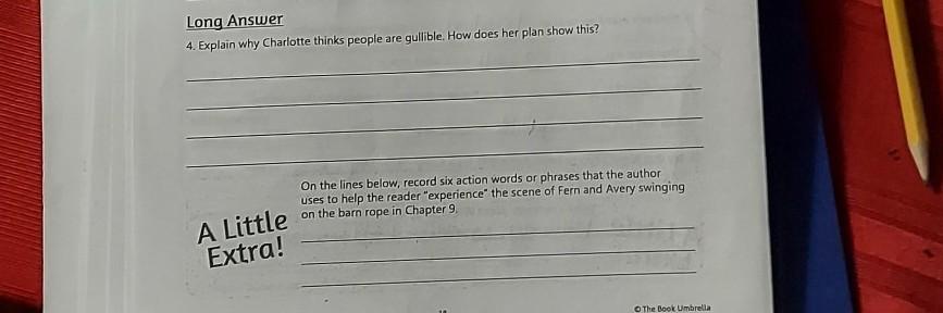 help NO links hurry please answer