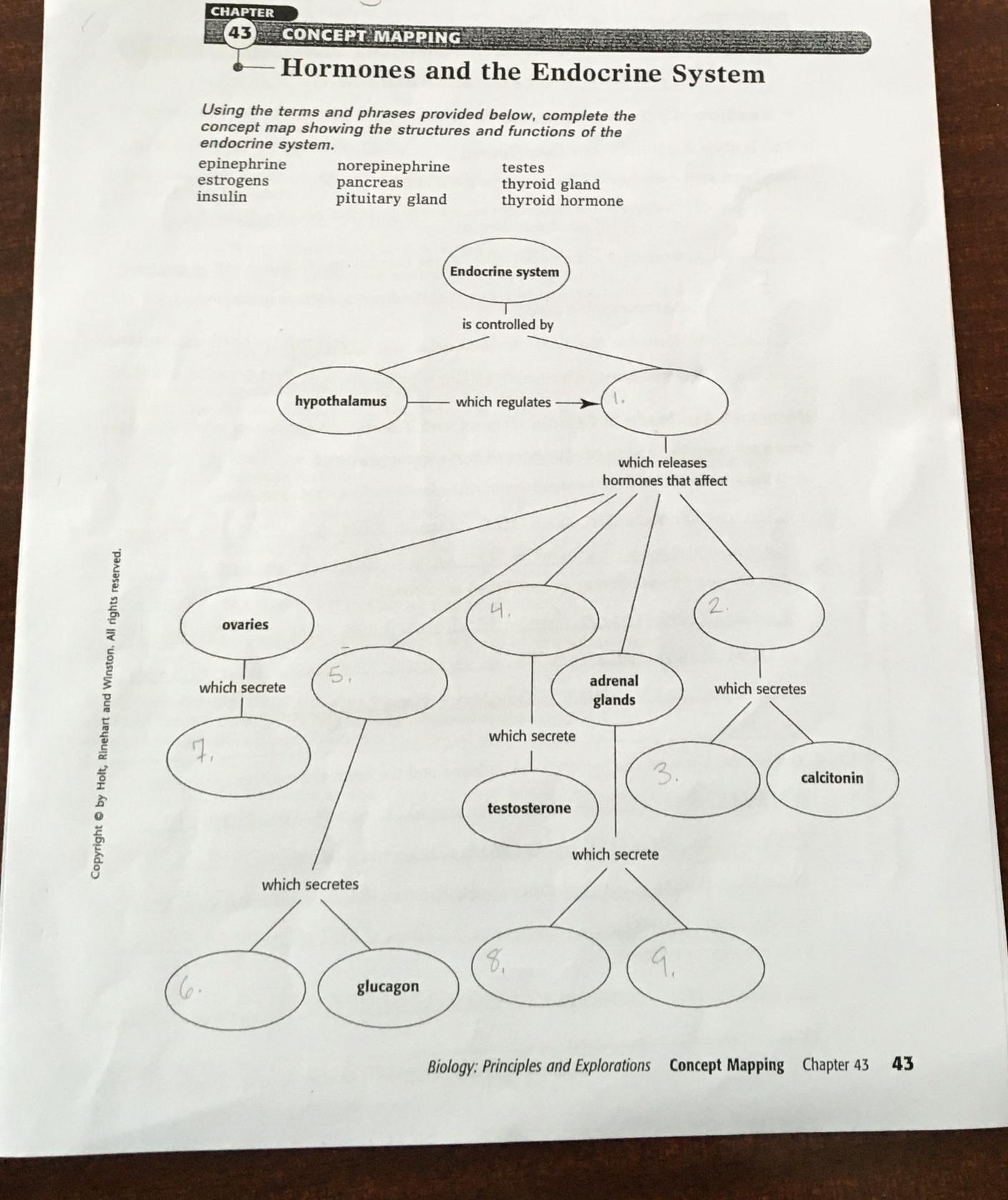 Help! Biology Concept Mapping Hormones and The Endocrine System. (Chapter 43 in Biology - Principles