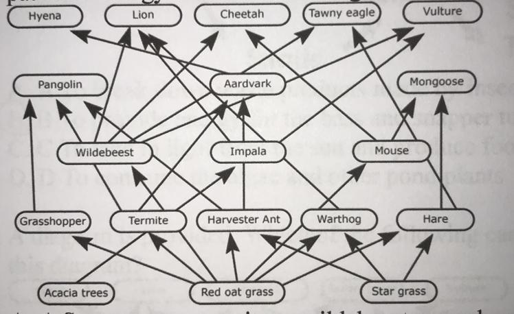 Food Webs Diagram The Complex Relationships Of Energy Flow In An Ecosystem Containing A Variety Of Producers