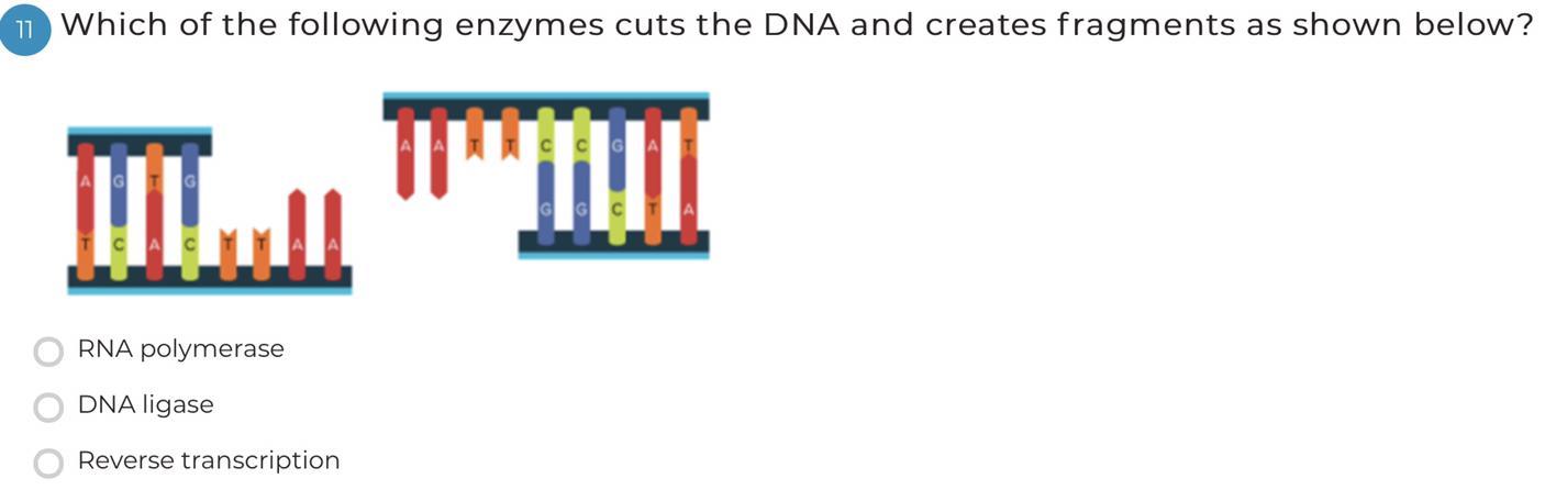 Can someone help please.
