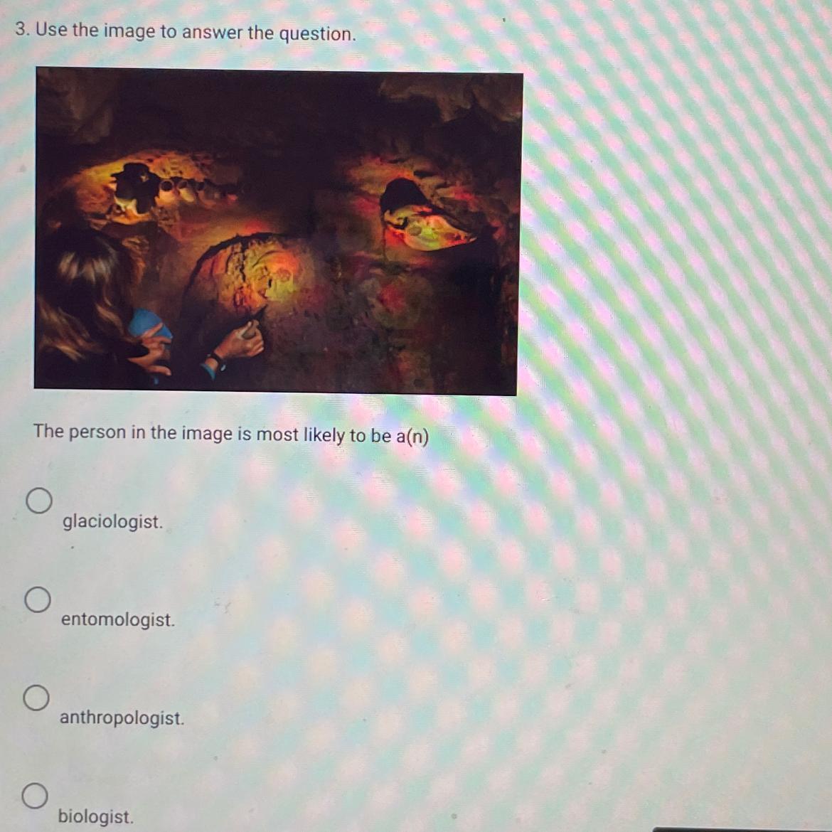 Use the image to answer the question.The person in the image is most likely to be a(n)