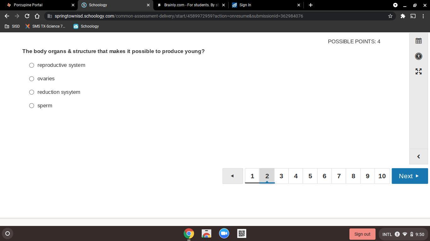 Help I think its the first one