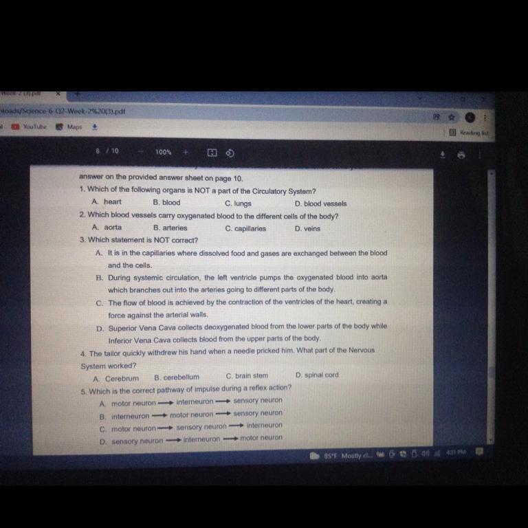 Please Help Me In This Question 
