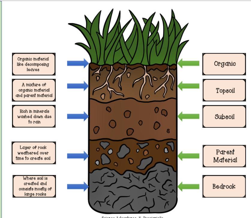 HELPPPDId I match all of these correctly?
