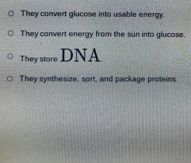How do mitochondria contribute to the function of the cell?