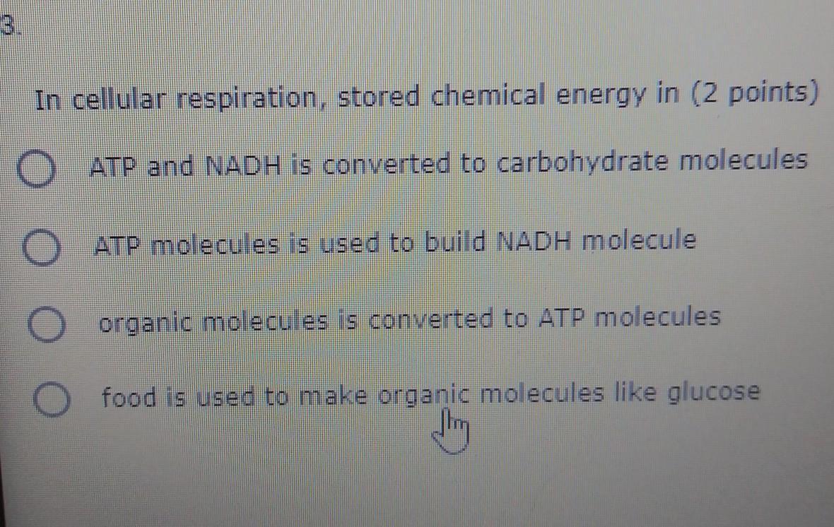 I need help on this question 