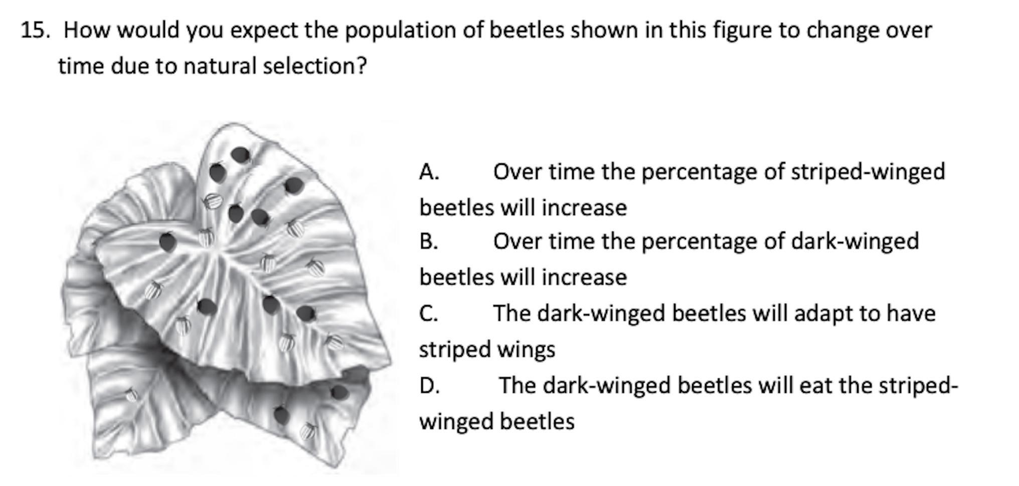 PLEASE HELP ME!!?!?!?!???