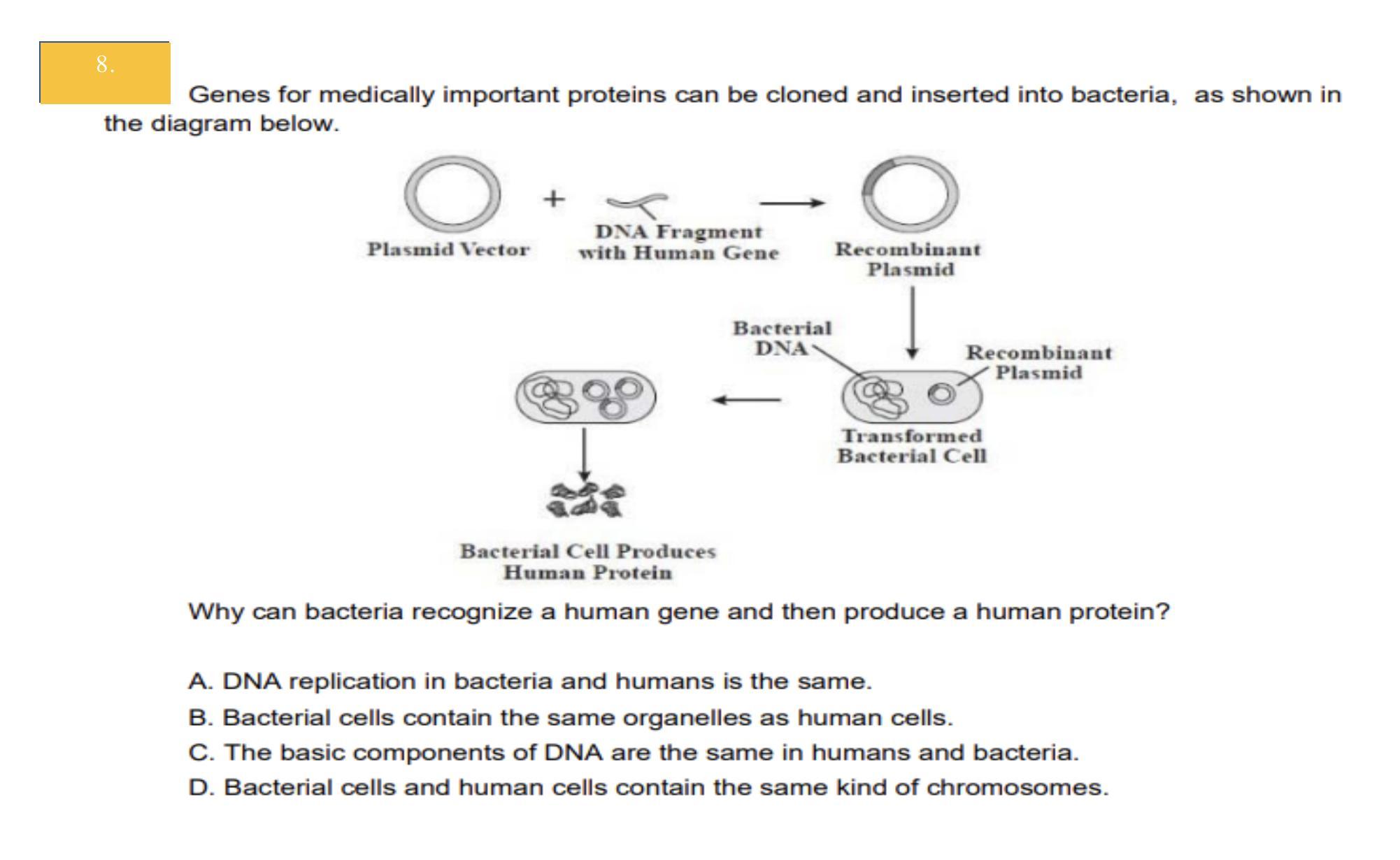 need another question pleaseeee will help out a ton