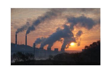 What does the picture show?A - la colinaB - la guerraC - la contaminacionD - la paz*Picture Down Below*