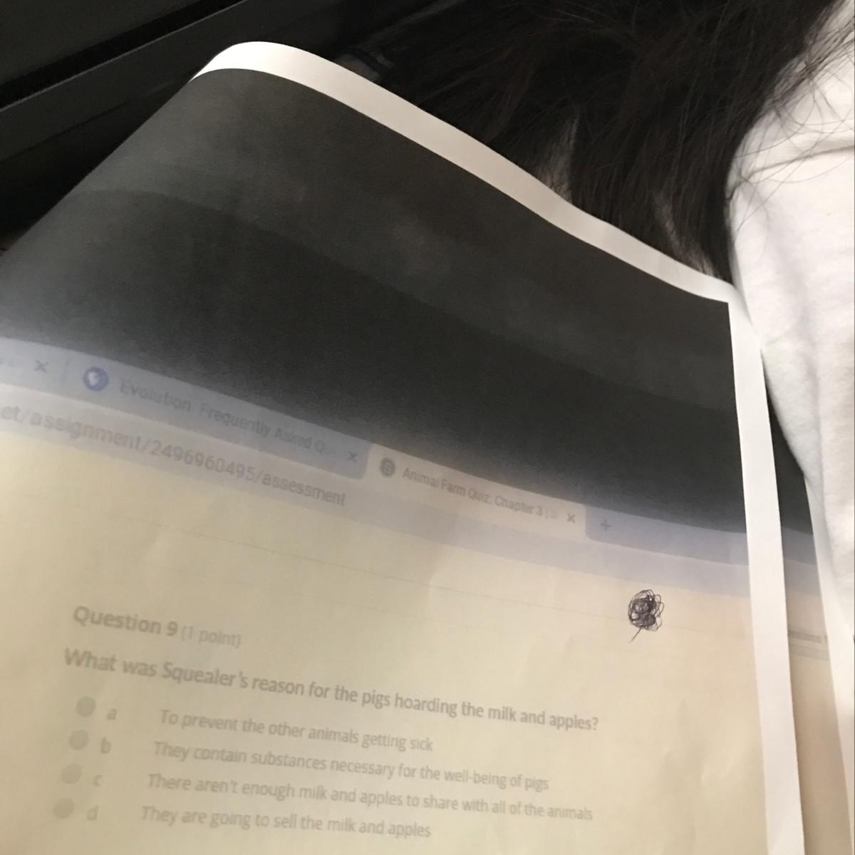 What is answer to question nine (story animals farm chapter three)