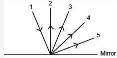 Light ray 1 strikes the smooth surface of a mirror as shown below.**IMAGE BELOW**Which of the following