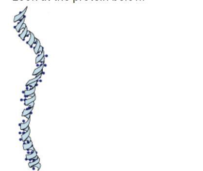 look at the protein below, which could be its function1 moving material out of cells 2 storing energy