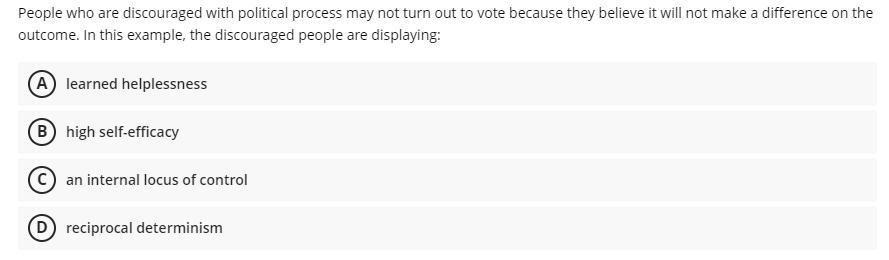 People Who Are Discouraged With Political Process May Not Turn Out To Vote Because They Believe It Will