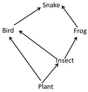 I NEED HELP ASAP!! Will Be Willing To Mark You Brainliest!Answer Q1-7 Using The Food Web Pictured Below.1.