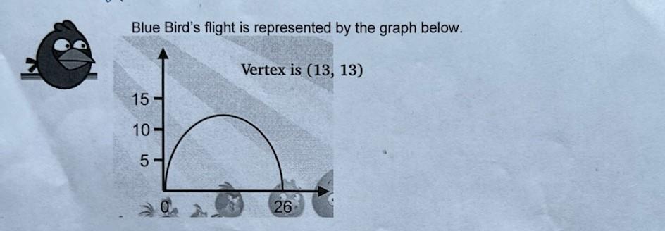 For the attached blue bird, find the quadratic equation written in vertex form