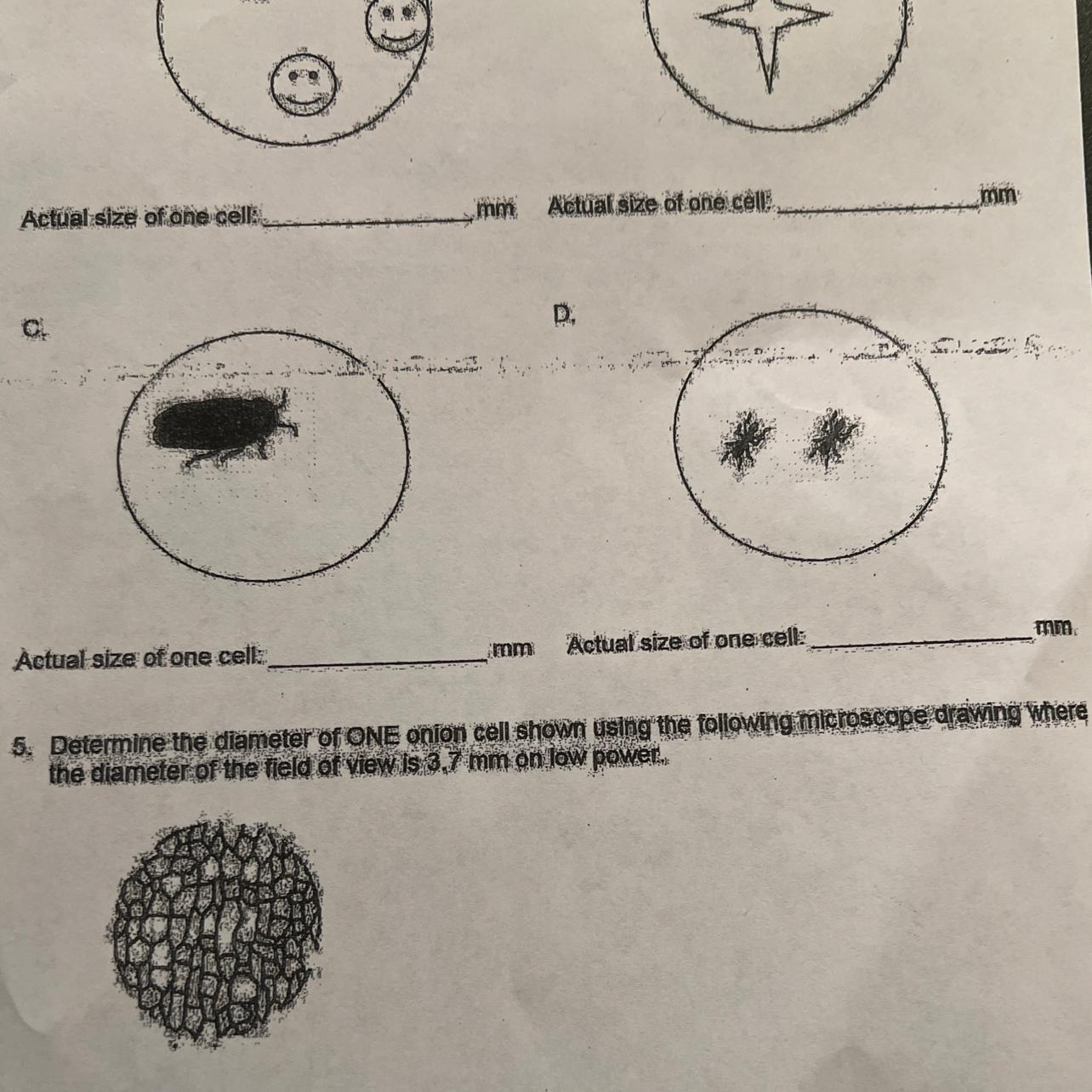 Number five, field of view lab 