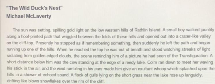 Which statement tells events from the first paragraph in the correct sequence?O The sun has set before