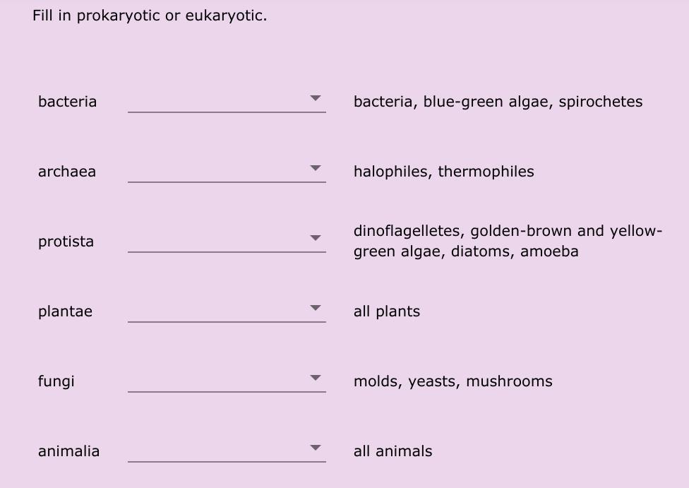 4) fill in the blanks with the following options:a) eukaryotic b) prokaryotic1)bacteria______; bacteria,