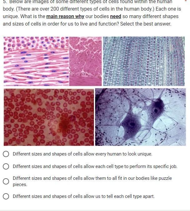 This is science Please help with THIS. 38 points if SOMEONE HELPS