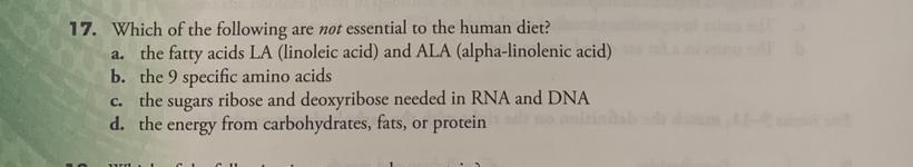 Can you please help me with the answer??